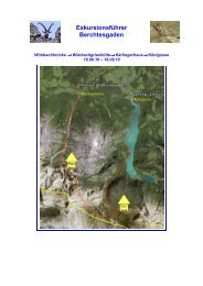 Exkursionsf__hrer Berchtesgaden.pdf - Department für Geographie ...