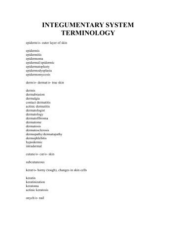 INTEGUMENTARY SYSTEM TERMINOLOGY - medmicro