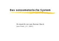 Das sensomotorische System