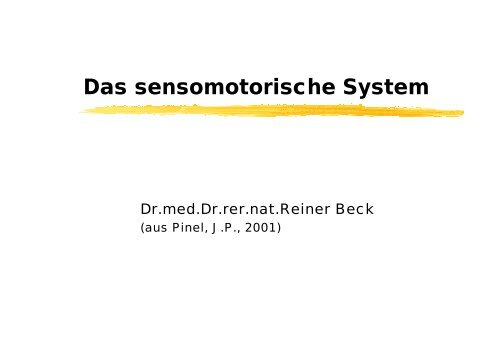 Das sensomotorische System