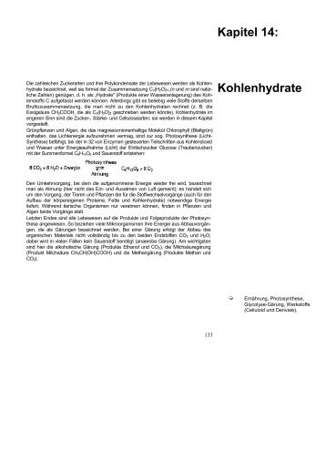 Kapitel 14: Kohlenhydrate