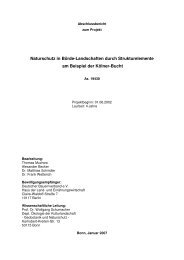 Abschlussbericht Bördeprojekt - Stiftung Rheinische Kulturlandschaft