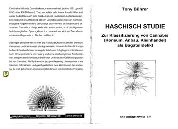 HASCHISCH STUDIE