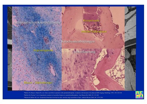 Download PowerPoint-Präsentation - Institut für Radiologie ...