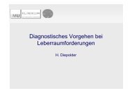 Diagnostisches Vorgehen bei Leberraumforderungen