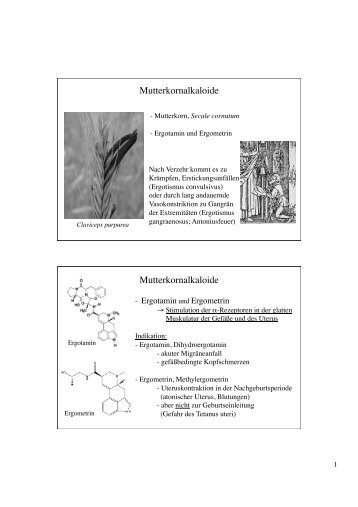 Mutterkornalkaloide Mutterkornalkaloide