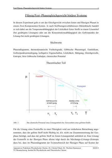 Flüssig/Fest-Phasengleichgewicht binärer Systeme