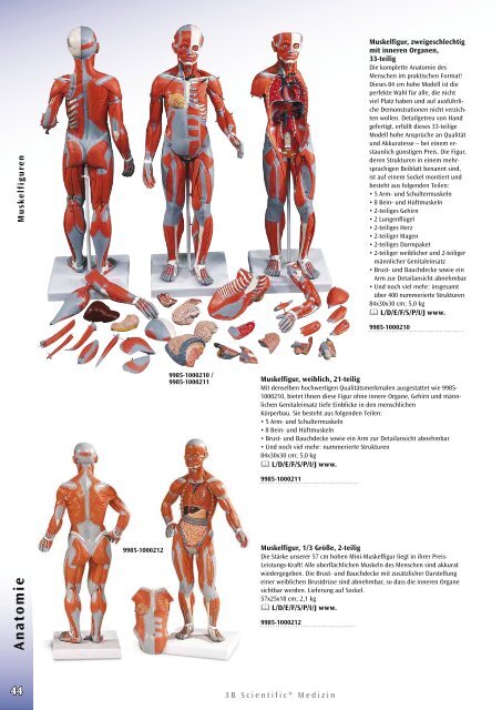 Anatomie - lehrmittel-bern.ch