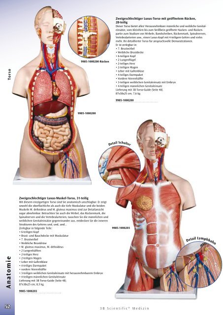 Anatomie - lehrmittel-bern.ch