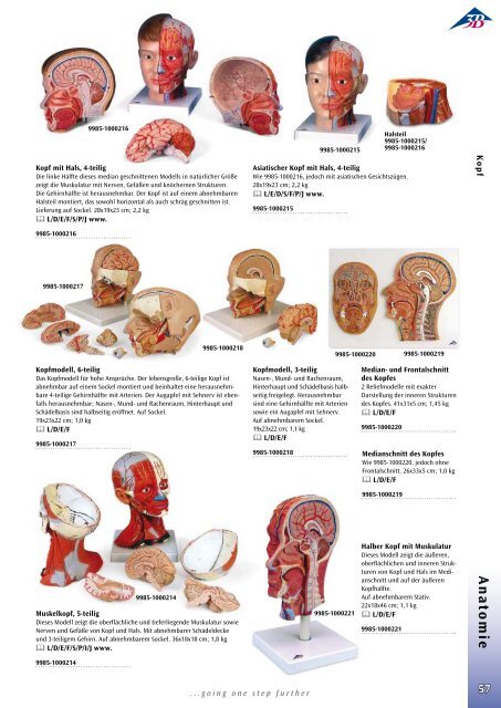 Anatomie - lehrmittel-bern.ch