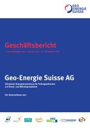 Geo-Energie Suisse AG Geschäftsbericht - IEU AG
