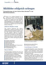 Milchfieber erfolgreich vorbeugen - Tiergesundheit und mehr