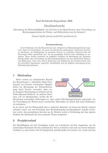 Abschlussbericht [pdf, 121 KB ] - Karl-Steinbuch-Stipendium