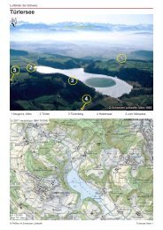 01_Türlersee_PreviewQuality.pdf (0.6 MB) - Luftbilder der Schweiz