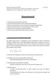 Handout Gasaustausch