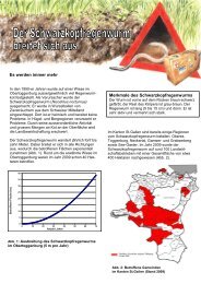 Schwarzkopfregenwurm Informationsblatt.pdf - landwirtschaft.sg.ch ...