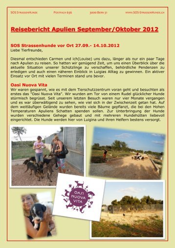 Reisebericht Apulien September/Oktober 2012 - SOS-Strassenhunde