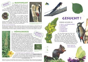 Projekt „Schule findet NATUR“ – Folder mit ... - Naturschutzbund