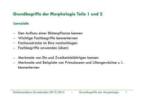 Grundbegriffe der Morphologie