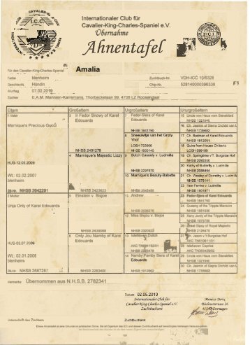 Stammbaum als PDF herunterladen