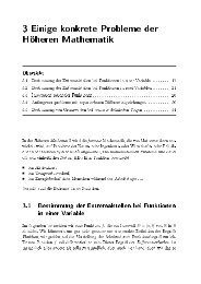 3 Einige konkrete Probleme der Höheren Mathematik