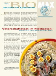 Vaterschaftstest im Nistkasten – - Max-Wissen