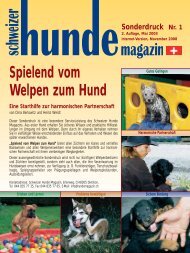 Spielend vom Welpen zum Hund - Schweizer Hunde Magazin
