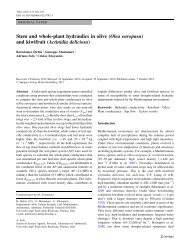 Stem and whole-plant hydraulics in olive (Olea europaea) and ...