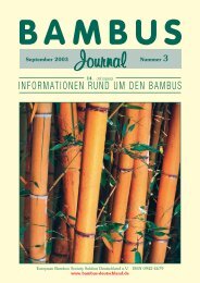 informationen rund um den bambus - Forum der European Bamboo ...