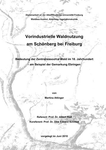 Vorindustrielle Waldnutzung am Schönberg bei Freiburg - Kartan