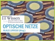 OPTISCHE NETZE ITWissen.info 1