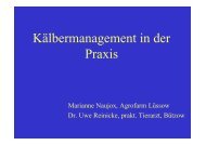 Kälbermanagement in der Praxis (M. Naujox, Dr. U. Reinicke)