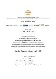 Studie Anreizsysteme - Modellstadt Mannheim