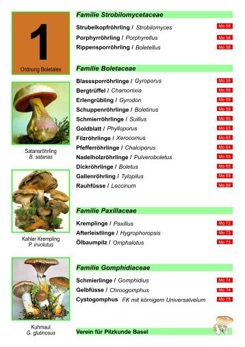 Familie Gomphidiaceae - pilze-basel