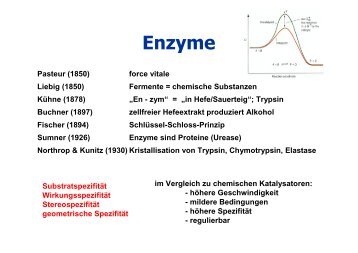 Enzyme