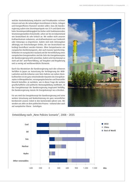 Geschäftsbericht 2010/2011 des bundesverbandes der deutschen ...