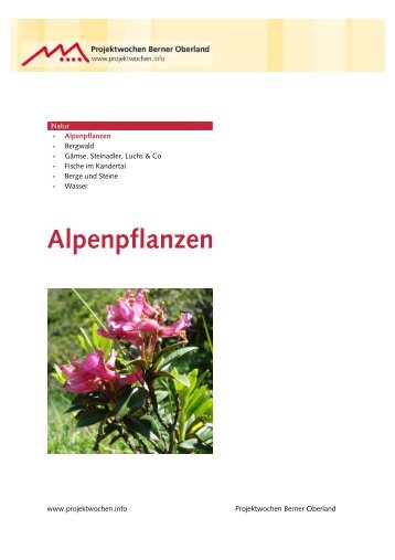 Download Alpenpflanzen - Projektwochen Berner Oberland