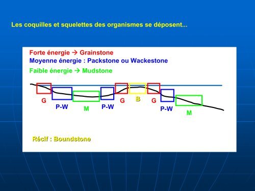 Les Roches Sédimentaires