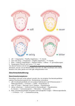 Geschmackssinn Magazine