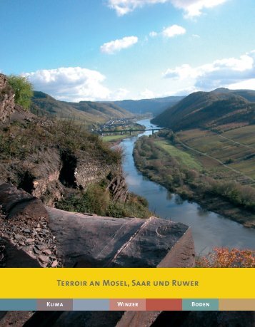 Broschüre: Terroir an Mosel, Saar und Ruwer - Mosellandtouristik