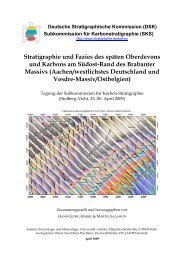 Stratigraphie und Fazies des späten Oberdevons und Karbons am ...