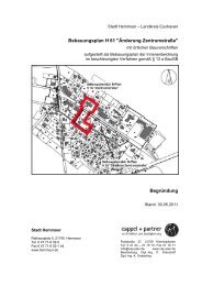 Hemmoor, B-Plan H61 Begründung 2011-05-30