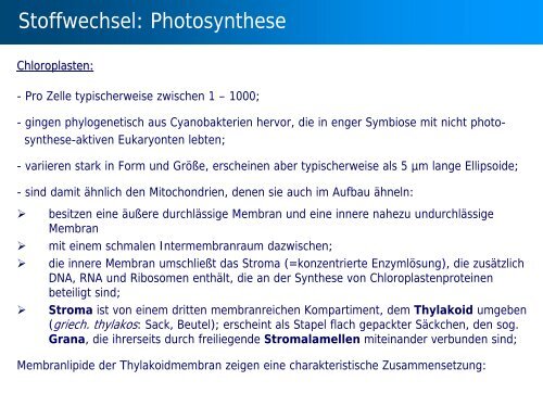 Stoffwechsel: Übersicht