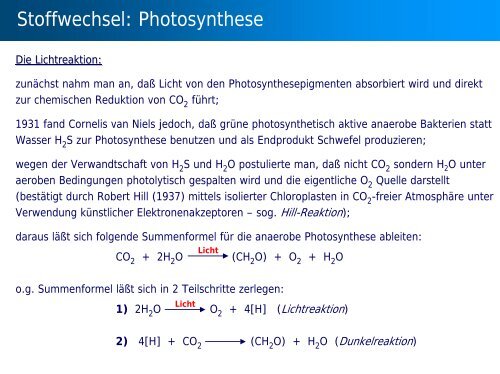 Stoffwechsel: Übersicht