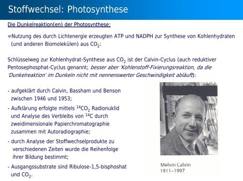 Stoffwechsel: Übersicht