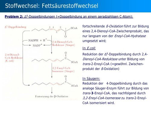 Stoffwechsel: Übersicht