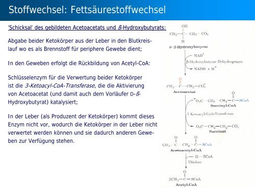 Stoffwechsel: Übersicht