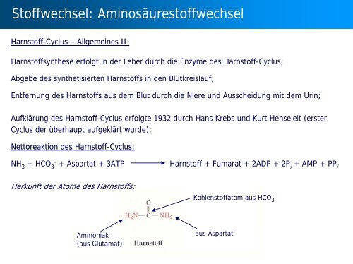 Stoffwechsel: Übersicht