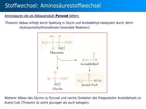 Stoffwechsel: Übersicht