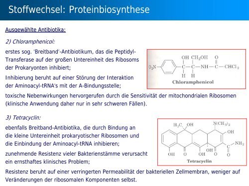 Stoffwechsel: Übersicht